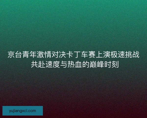 京台青年激情对决卡丁车赛上演极速挑战 共赴速度与热血的巅峰时刻